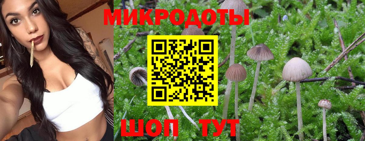 Псилоцибиновые грибы Magic Shrooms  Вход с VPN  Горно-Алтайск 